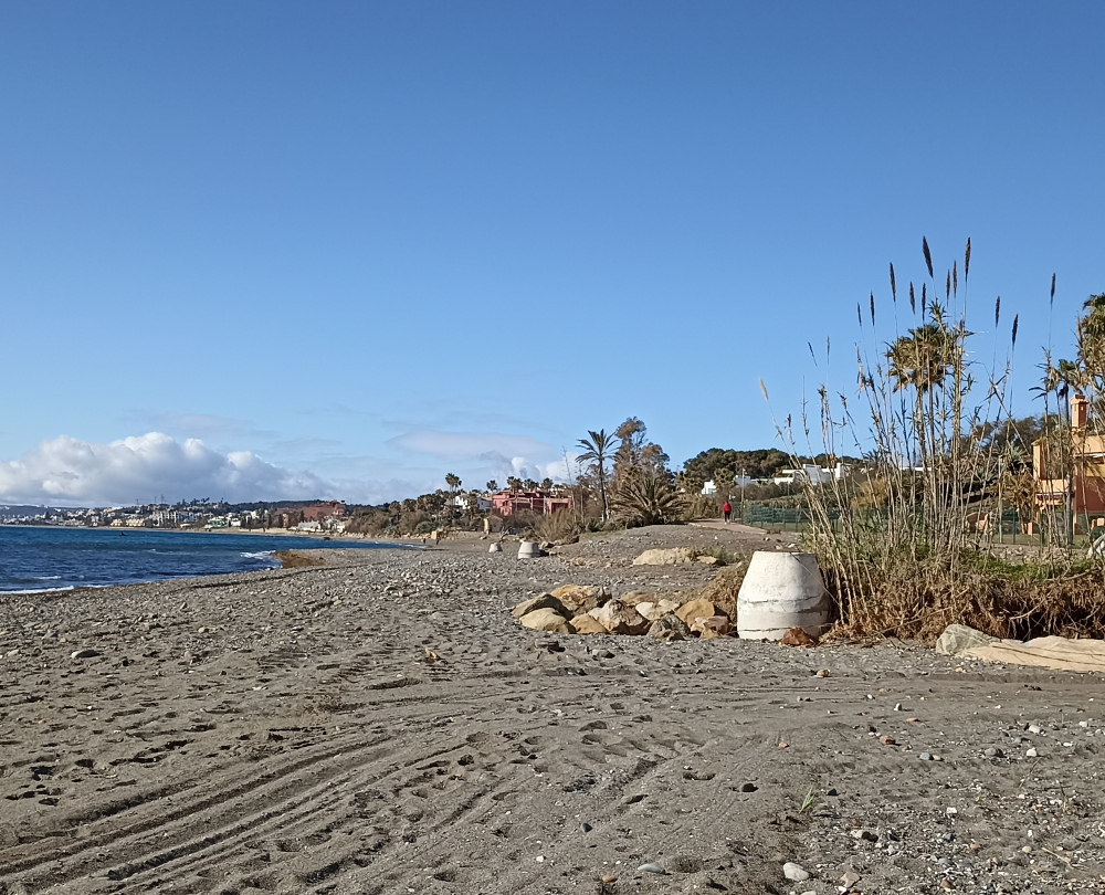 IMG_20220214_111901