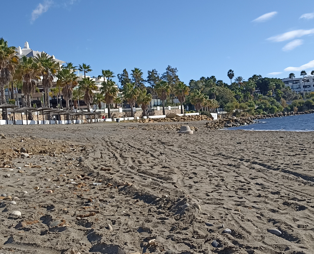 IMG_20220214_111854
