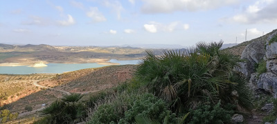 IMG_20220228_101647-1